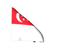 Singapore Flag